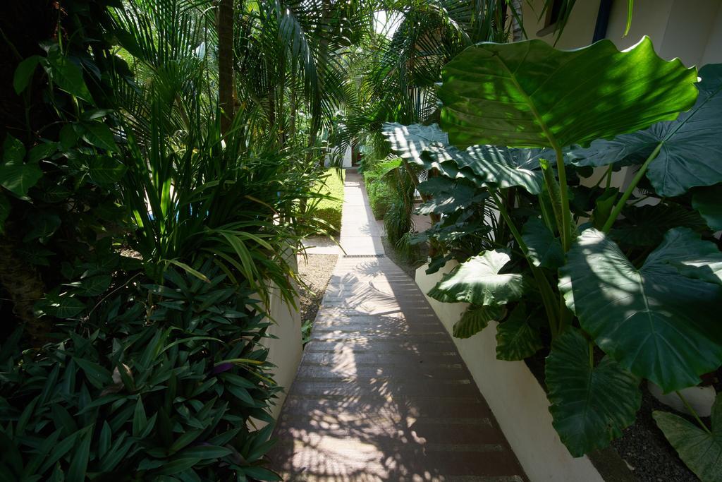 Tamarindo Blue Apartments 외부 사진
